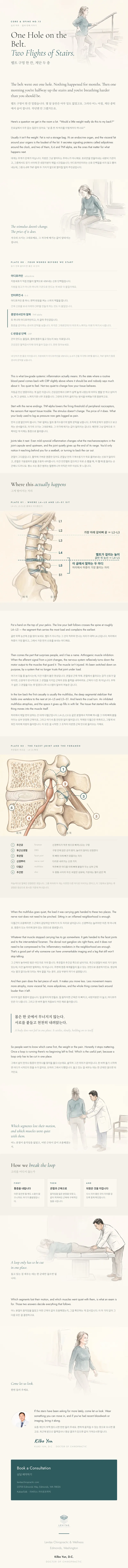 Brochure: One Hole on the Belt, Two Flights of Stairs: What Weight Gain Actually Does to Your Low Back