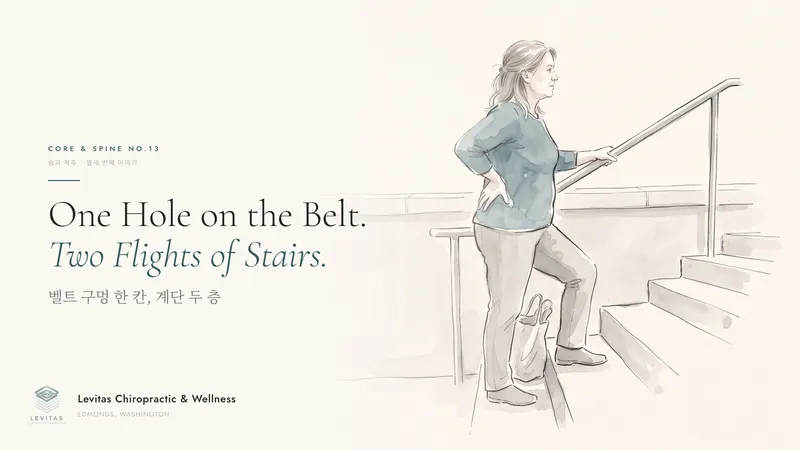 One Hole on the Belt, Two Flights of Stairs: What Weight Gain Actually Does to Your Low Back