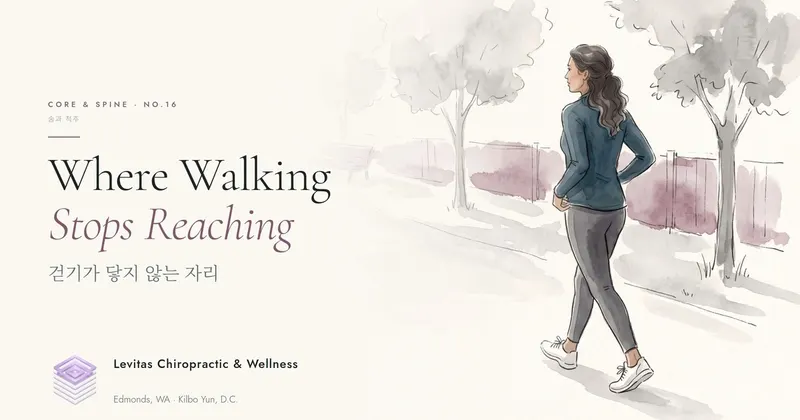 Where Walking Stops Reaching — Why Ten Thousand Steps Won't Keep Your Muscle
