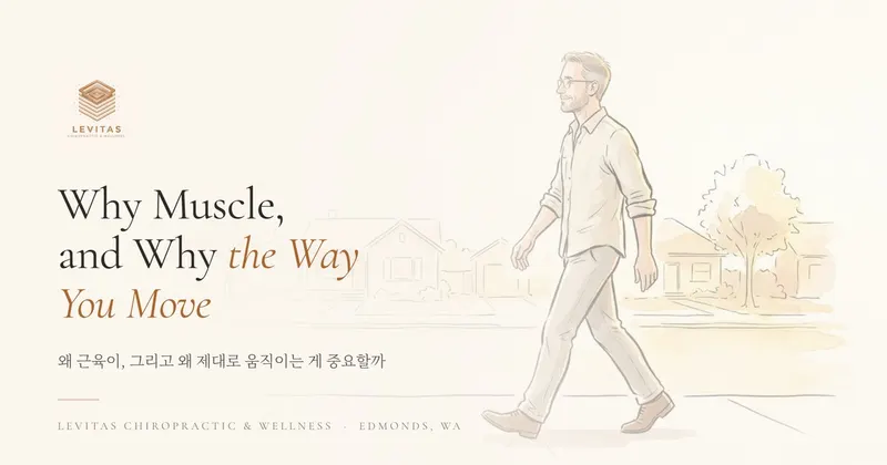 Why Muscle, and Why the Way You Move